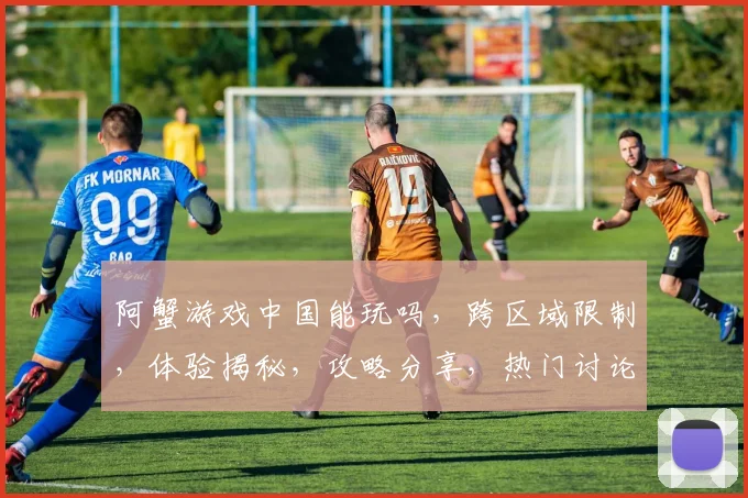 阿蟹游戏中国能玩吗，跨区域限制，体验揭秘，攻略分享，热门讨论