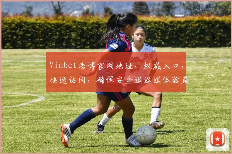 Vinbet浩博官网地址，权威入口，快速访问，确保安全逗逗逗体验最佳